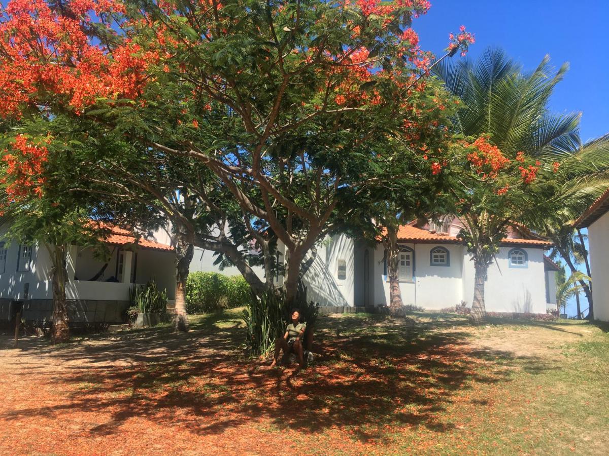 Alma Tropical Mini Resort Đảo Đảo Vera Cruz de Itaparica Ngoại thất bức ảnh