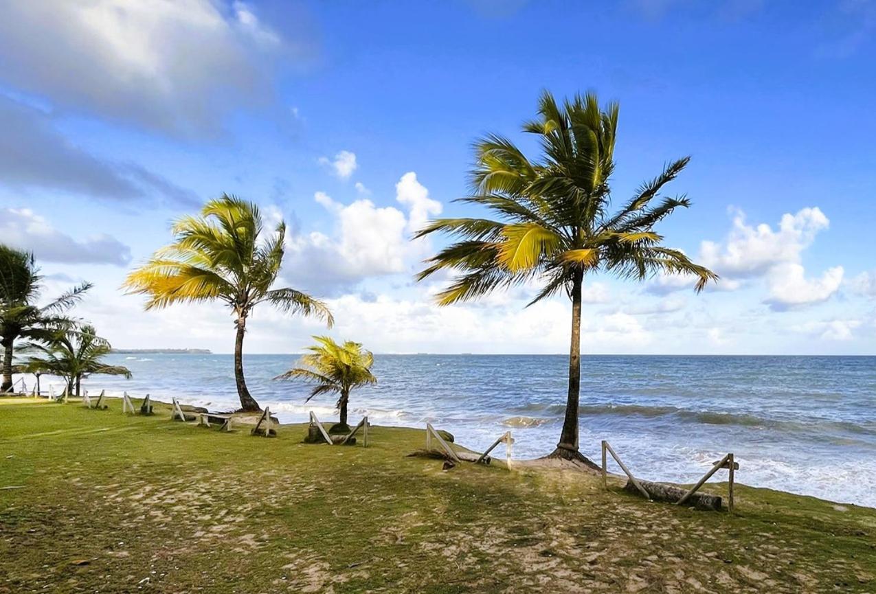 Alma Tropical Mini Resort Đảo Đảo Vera Cruz de Itaparica Ngoại thất bức ảnh
